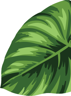 leaf